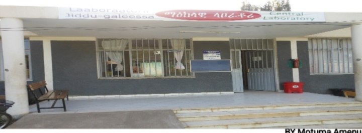 Laboratory & Pathology