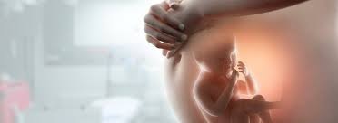 Obstetrics & Gynecology